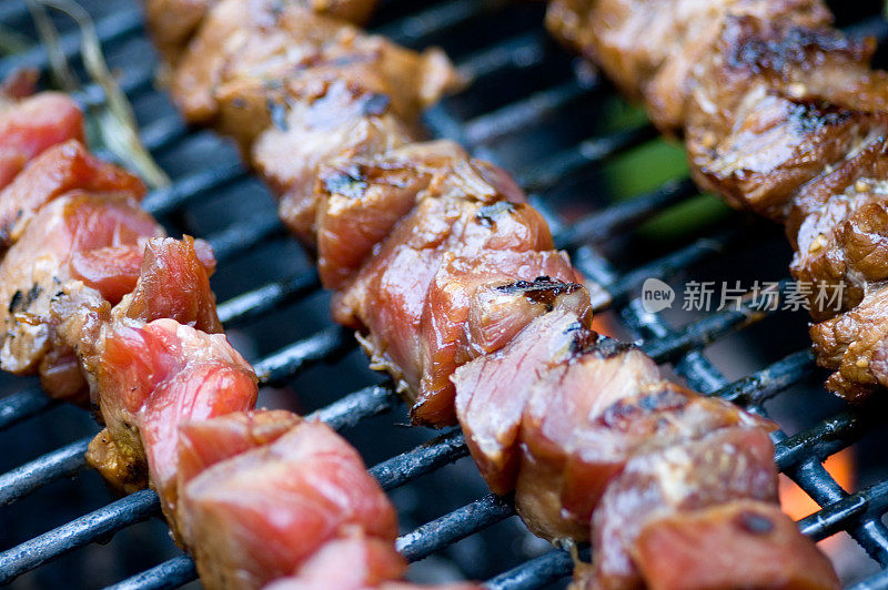 BBQ -夏天的乐趣2